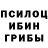 Псилоцибиновые грибы Magic Shrooms Kazim Bal