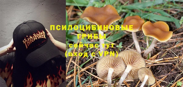 дмт Алексеевка