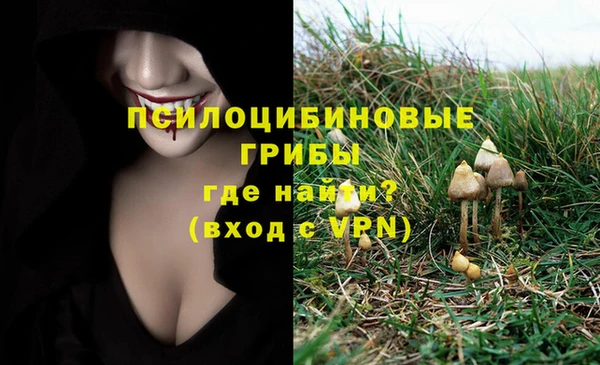 дмт Алексеевка