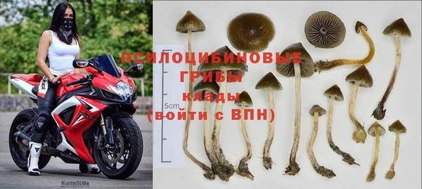 дмт Алексеевка
