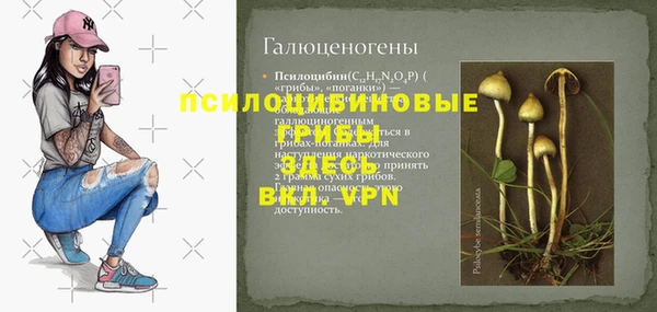 дмт Алексеевка