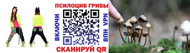 Псилоцибиновые грибы GOLDEN TEACHER  Аша 